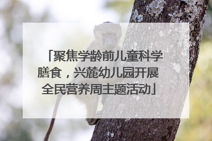 聚焦学龄前儿童科学膳食，兴麓幼儿园开展全民营养周主题活动