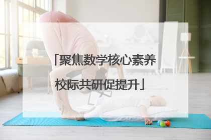 聚焦数学核心素养 校际共研促提升