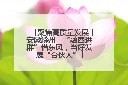 聚焦高质量发展丨安徽滁州：“融圈进群”借东风，当好发展“合伙人”