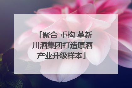 聚合 重构 革新 川酒集团打造原酒产业升级样本