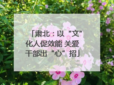 肃北：以“文”化人促效能 关爱干部出“心”招