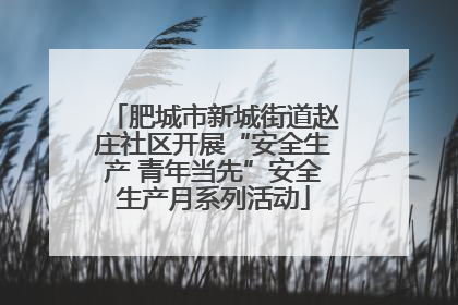 肥城市新城街道赵庄社区开展“安全生产 青年当先”安全生产月系列活动