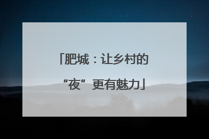 肥城：让乡村的“夜”更有魅力