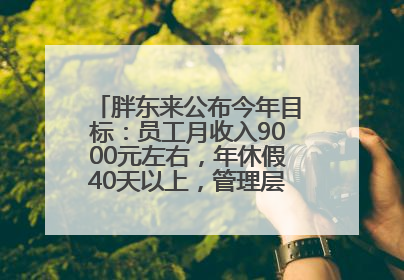 胖东来公布今年目标：员工月收入9000元左右，年休假40天以上，管理层人均分配70万元