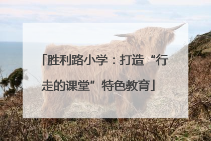 胜利路小学：打造“行走的课堂”特色教育