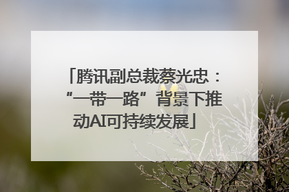 腾讯副总裁蔡光忠：“一带一路”背景下推动AI可持续发展