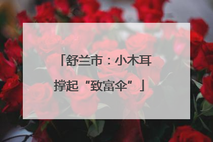 舒兰市：小木耳撑起“致富伞”