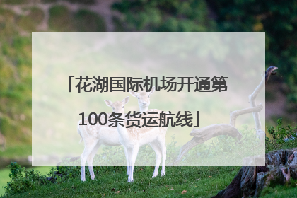 花湖国际机场开通第100条货运航线
