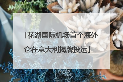 花湖国际机场首个海外仓在意大利揭牌投运