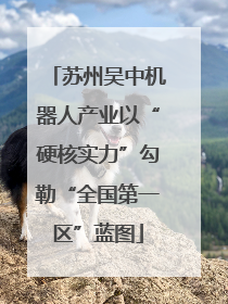 苏州吴中机器人产业以“硬核实力”勾勒“全国第一区”蓝图