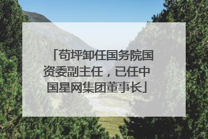 苟坪卸任国务院国资委副主任，已任中国星网集团董事长