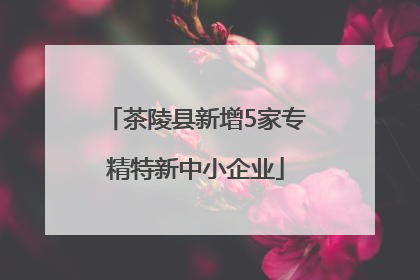 茶陵县新增5家专精特新中小企业
