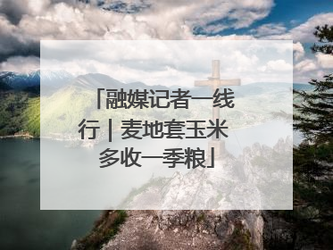 融媒记者一线行｜麦地套玉米 多收一季粮
