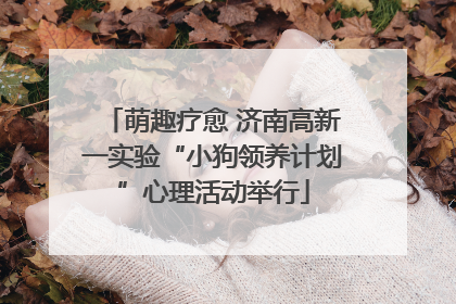 萌趣疗愈 济南高新一实验“小狗领养计划”心理活动举行