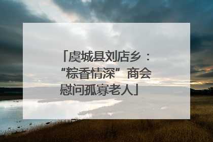 虞城县刘店乡：“粽香情深”商会慰问孤寡老人