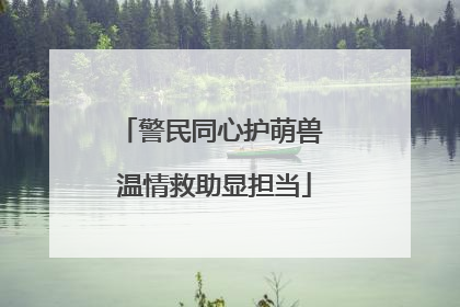 警民同心护萌兽 温情救助显担当
