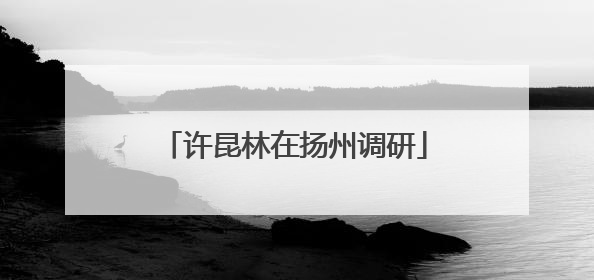 许昆林在扬州调研
