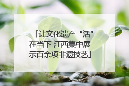 让文化遗产“活”在当下 江西集中展示百余项非遗技艺