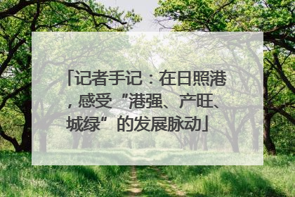 记者手记：在日照港，感受“港强、产旺、城绿”的发展脉动
