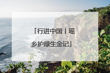行进中国丨瑶乡护绿生金记