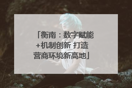 衡南：数字赋能+机制创新 打造营商环境新高地