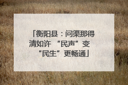 衡阳县：问渠那得清如许 “民声”变“民生”更畅通