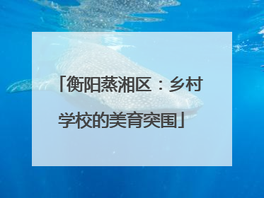 衡阳蒸湘区：乡村学校的美育突围