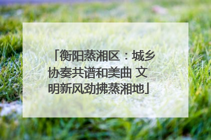 衡阳蒸湘区：城乡协奏共谱和美曲 文明新风劲拂蒸湘地
