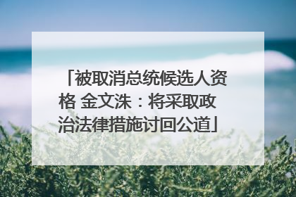 被取消总统候选人资格 金文洙：将采取政治法律措施讨回公道