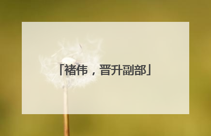 褚伟，晋升副部