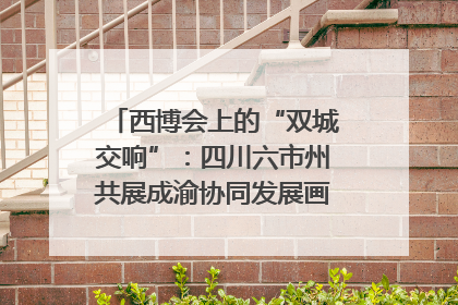 西博会上的“双城交响”：四川六市州共展成渝协同发展画卷｜西博视界