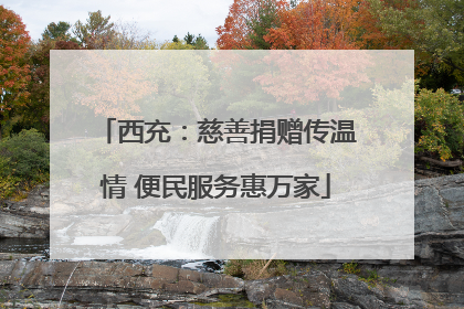 西充：慈善捐赠传温情 便民服务惠万家