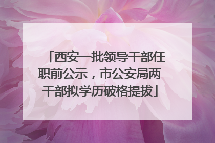 西安一批领导干部任职前公示，市公安局两干部拟学历破格提拔