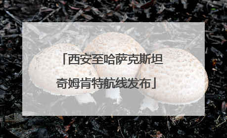 西安至哈萨克斯坦奇姆肯特航线发布