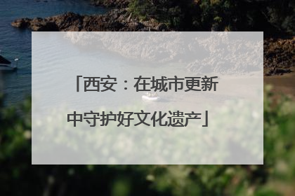 西安：在城市更新中守护好文化遗产