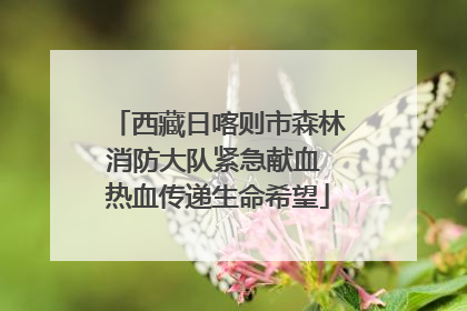 西藏日喀则市森林消防大队紧急献血 热血传递生命希望