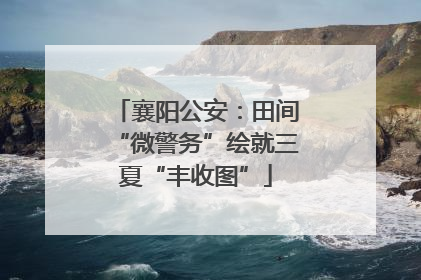 襄阳公安：田间“微警务”绘就三夏“丰收图”