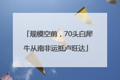 规模空前，70头白犀牛从南非运抵卢旺达