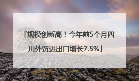 规模创新高！今年前5个月四川外贸进出口增长7.5%