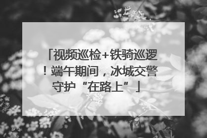 视频巡检+铁骑巡逻！端午期间，冰城交警守护“在路上”