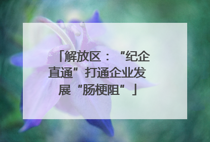 解放区：“纪企直通”打通企业发展“肠梗阻”