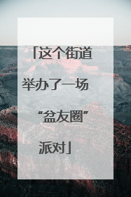 这个街道举办了一场“盆友圈”派对