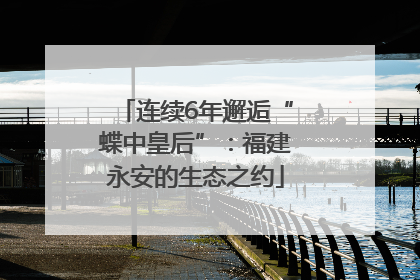 连续6年邂逅“蝶中皇后”：福建永安的生态之约