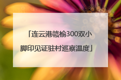 连云港赣榆300双小脚印见证驻村巡察温度