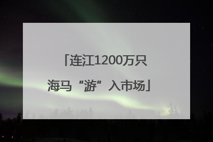 连江1200万只海马“游”入市场