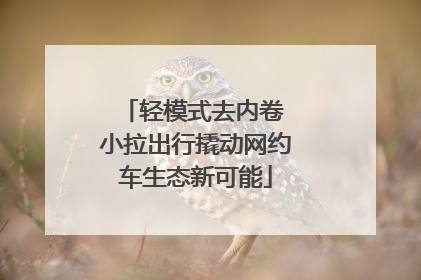 轻模式去内卷 小拉出行撬动网约车生态新可能