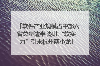 软件产业规模占中部六省总量逾半 湖北“软实力”引来杭州两小龙