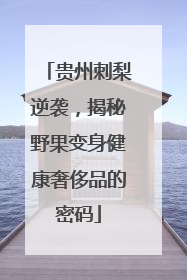 贵州刺梨逆袭，揭秘野果变身健康奢侈品的密码