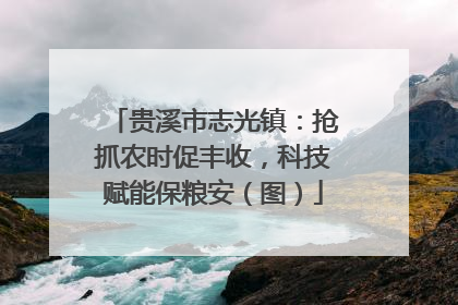贵溪市志光镇：抢抓农时促丰收，科技赋能保粮安（图）