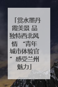 赏水墨丹霞美景 品独特西北风情 “青年城市体验官”感受兰州魅力